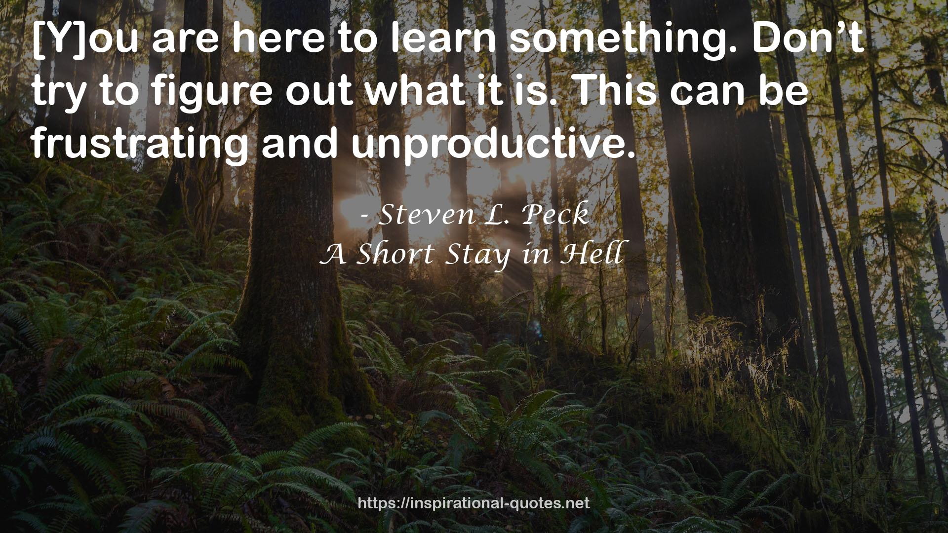 A Short Stay in Hell QUOTES