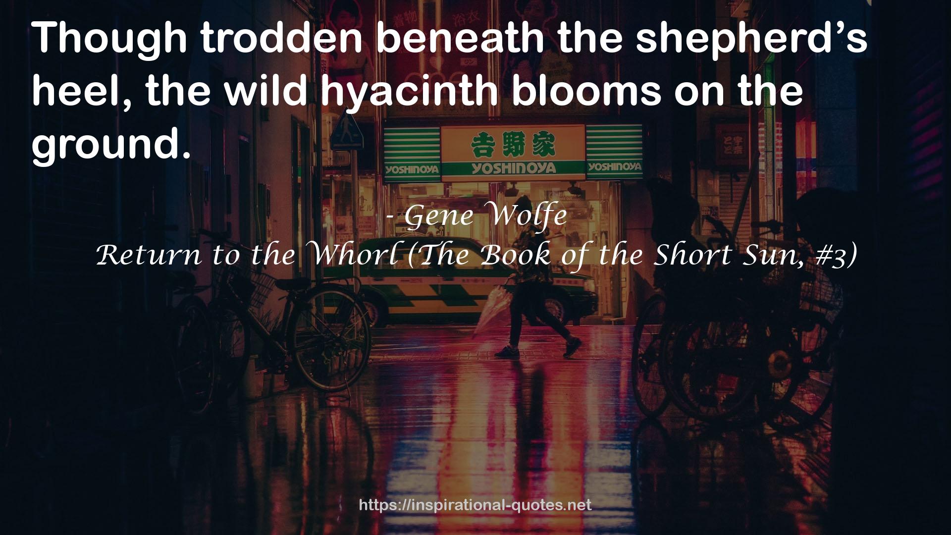 Return to the Whorl (The Book of the Short Sun, #3) QUOTES