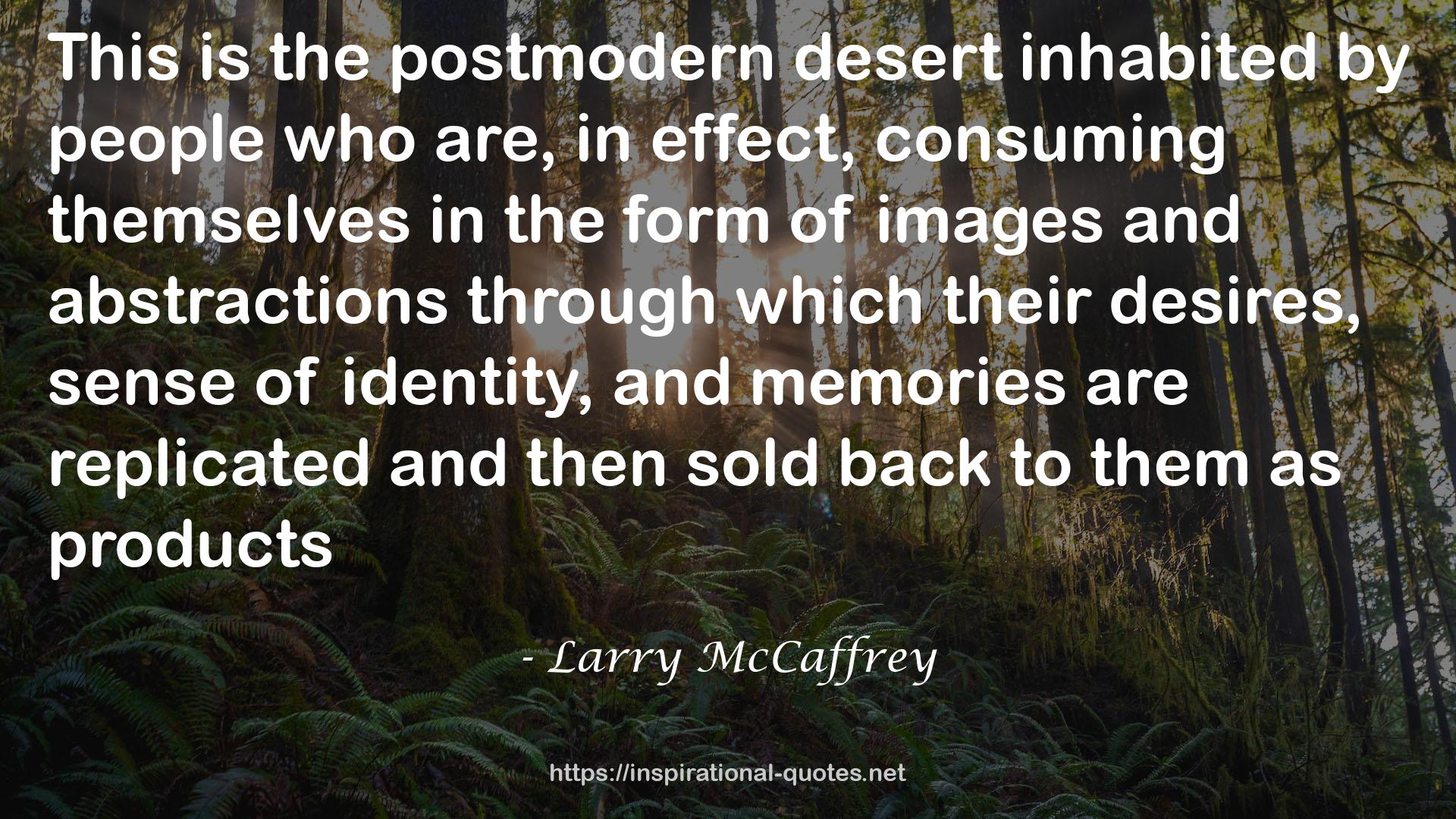 Larry McCaffrey QUOTES