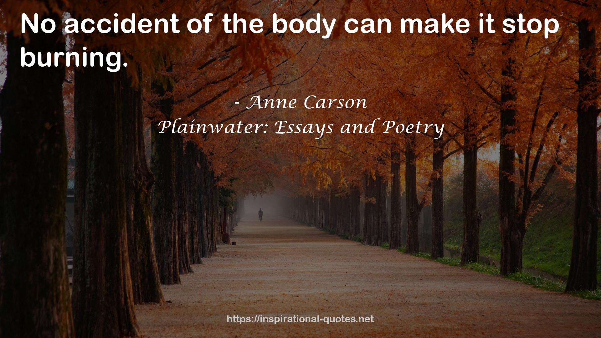 Plainwater: Essays and Poetry QUOTES