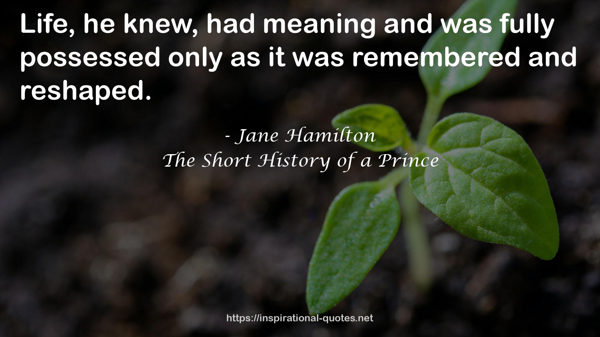 The Short History of a Prince QUOTES