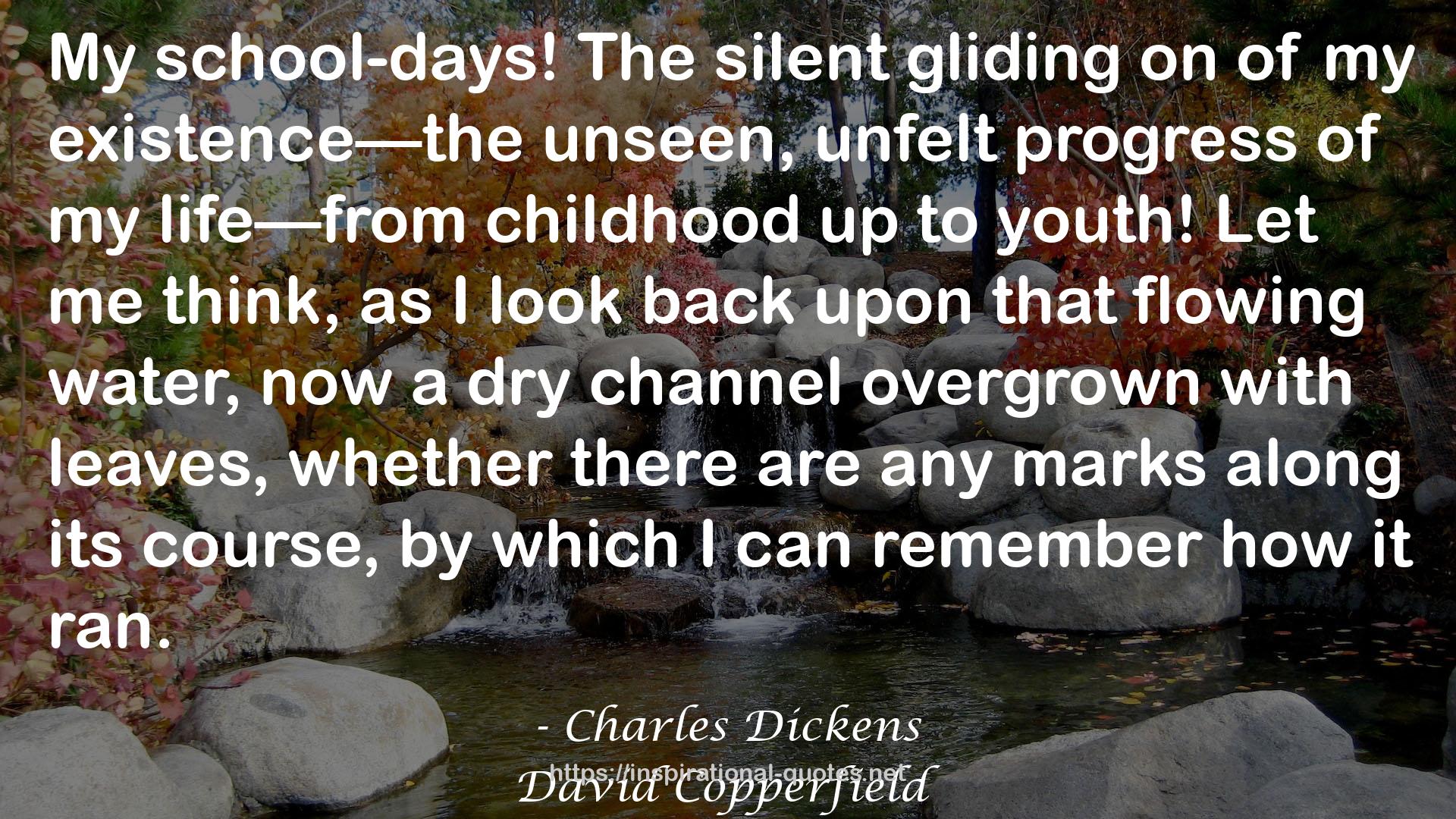 The silent gliding  QUOTES