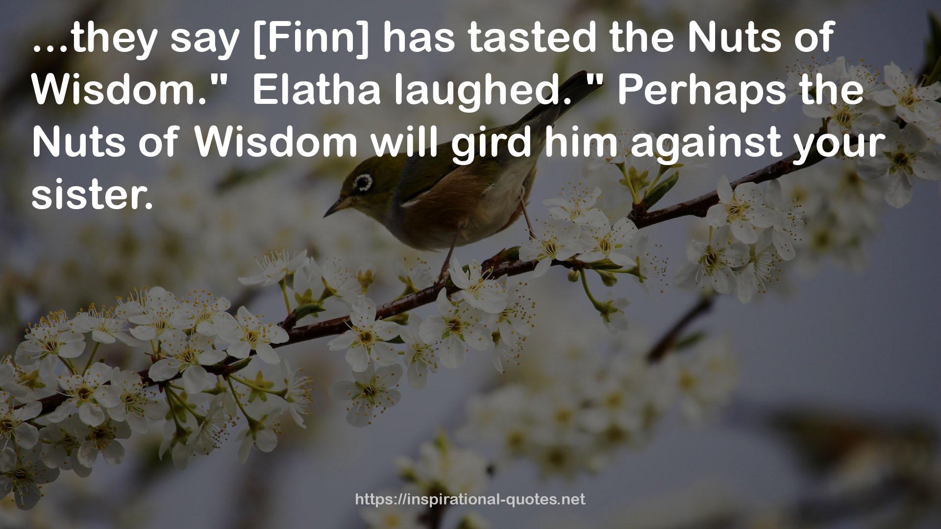 Perhaps the Nuts of Wisdom  QUOTES