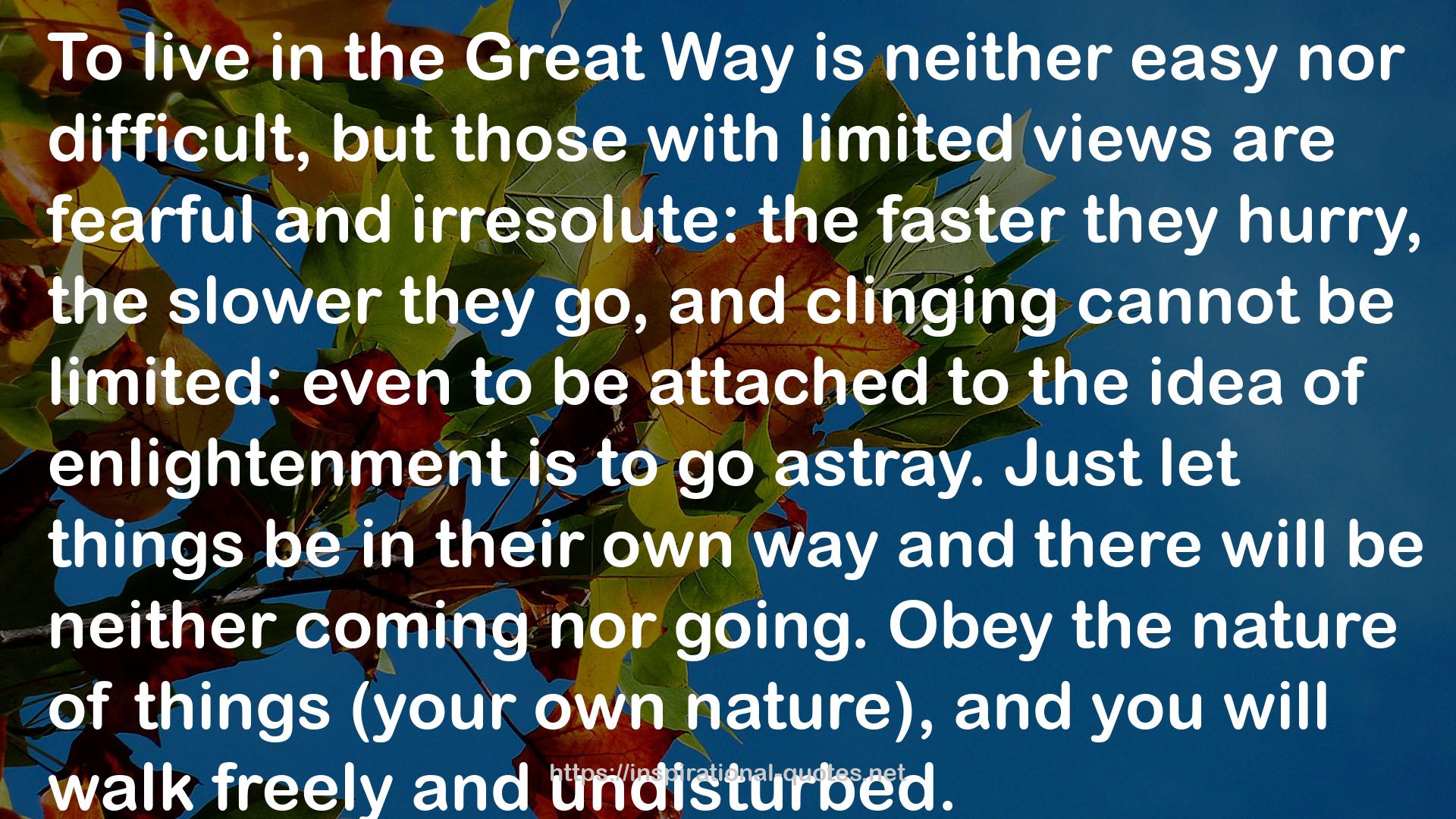 The Great Way  QUOTES