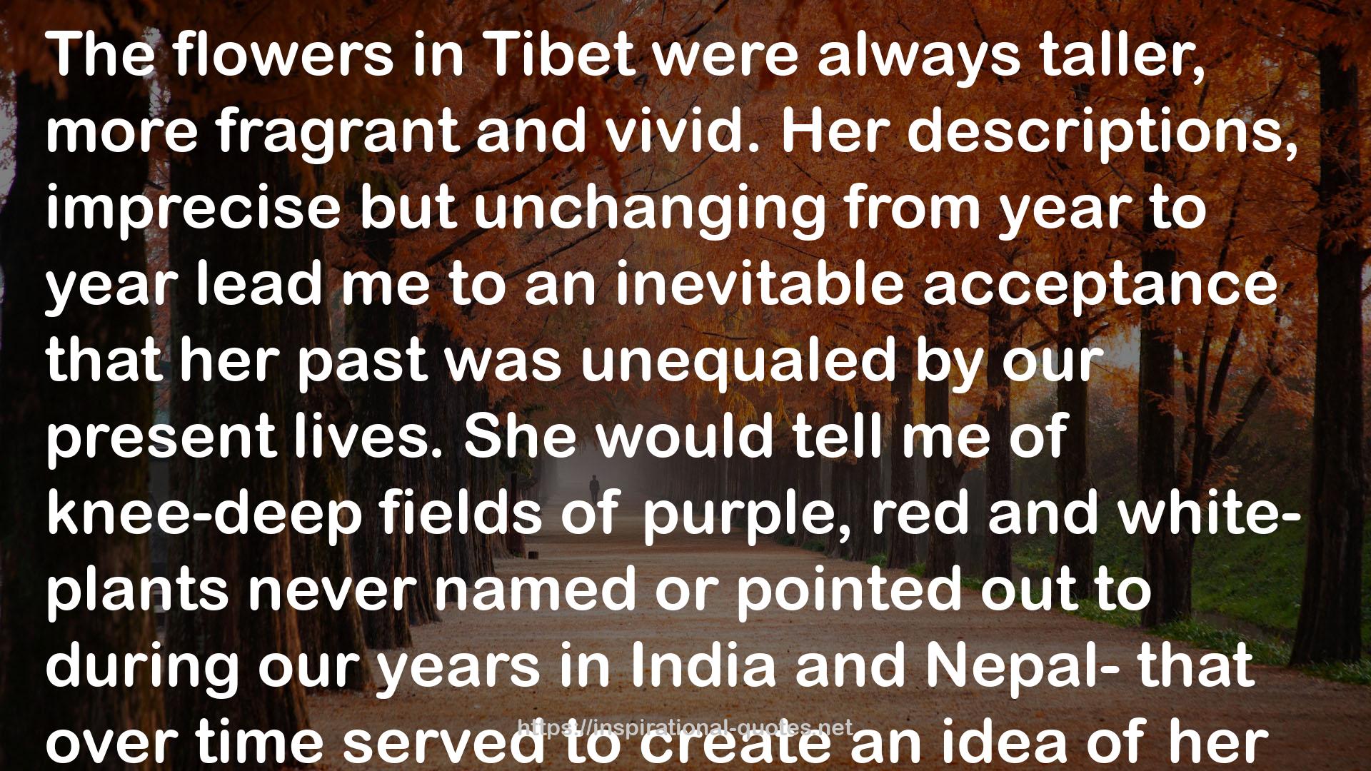 Coming Home to Tibet: A Memoir of Love, Loss, and Belonging QUOTES