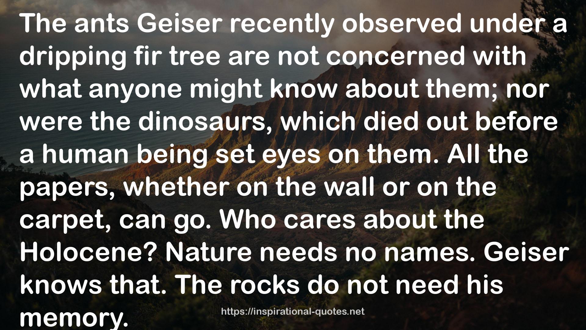 Geiser  QUOTES