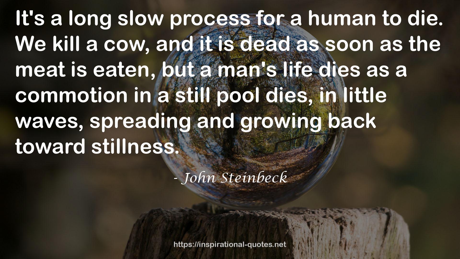 a long slow process  QUOTES