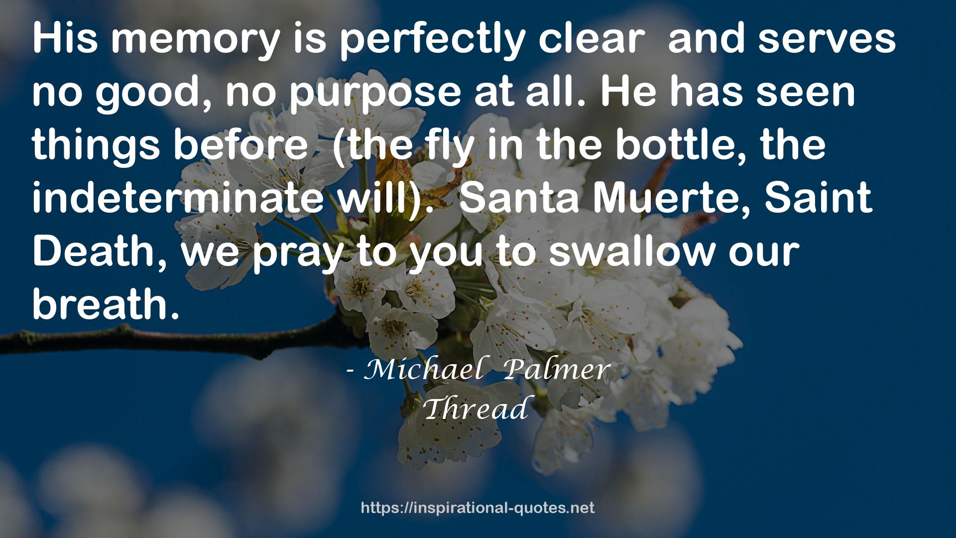 Michael  Palmer QUOTES