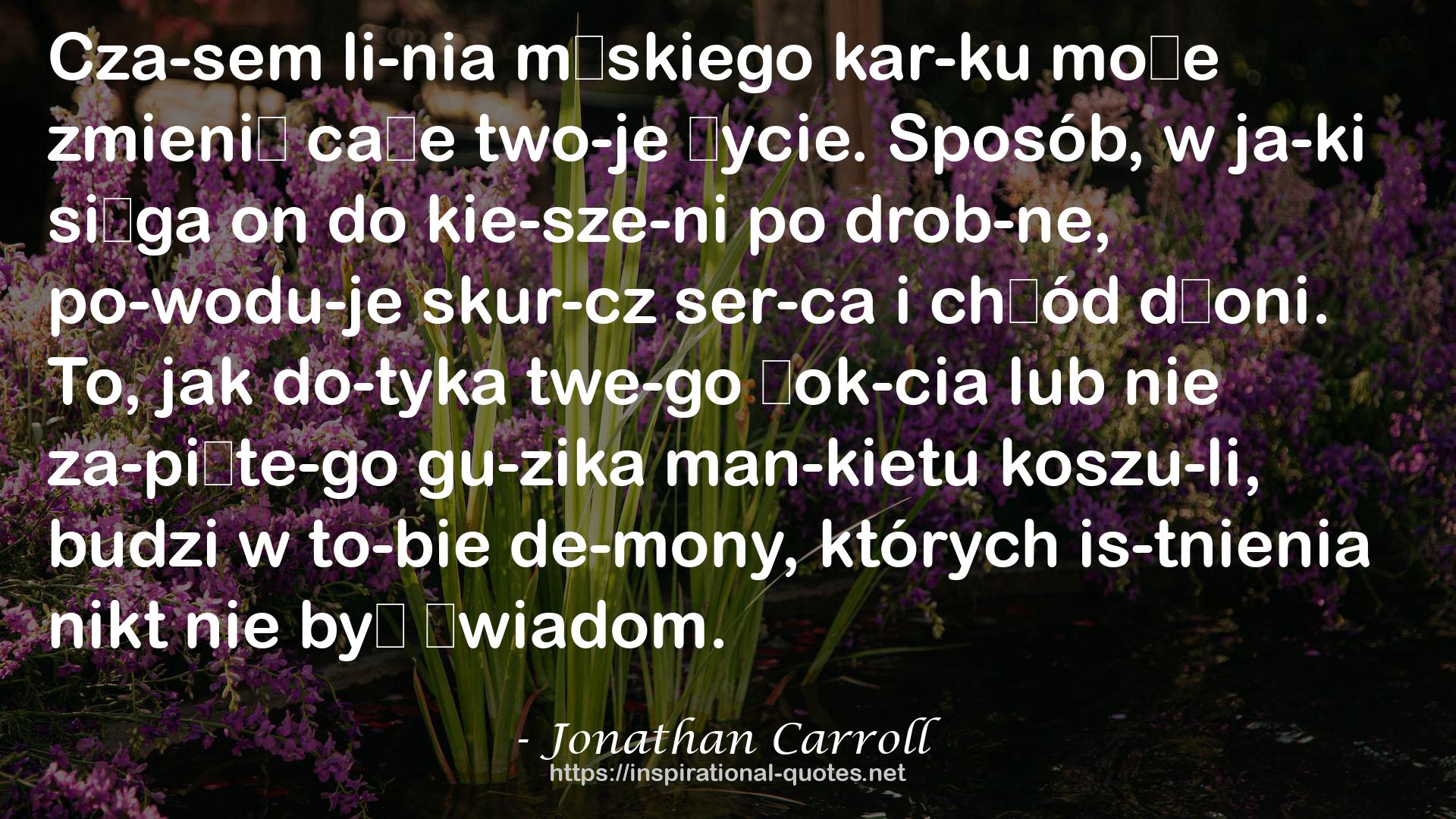 Jonathan Carroll QUOTES