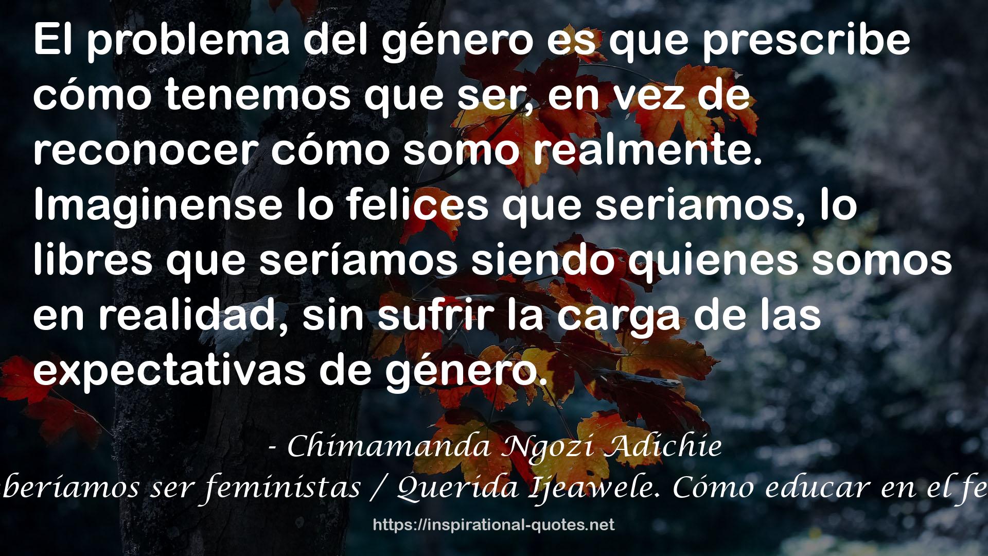 Todos deberíamos ser feministas / Querida Ijeawele. Cómo educar en el feminismo QUOTES