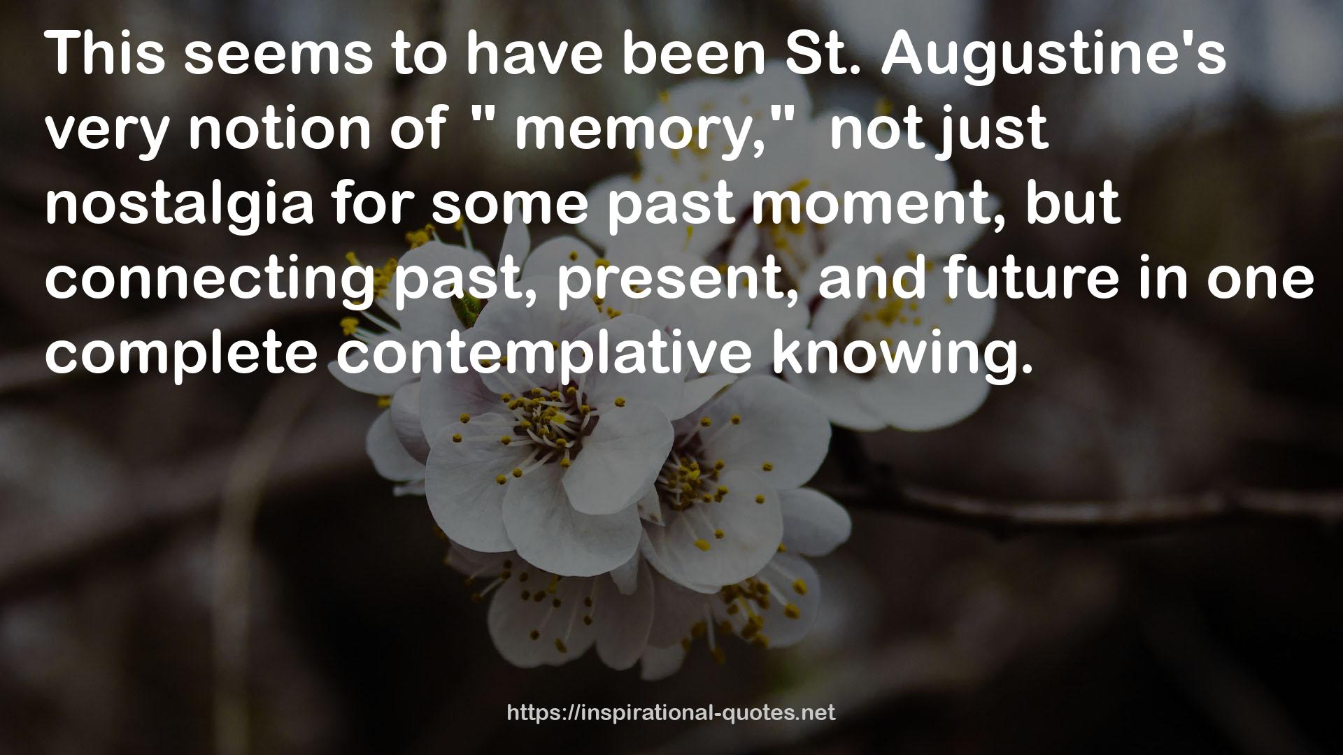 St. Augustine's very notion  QUOTES