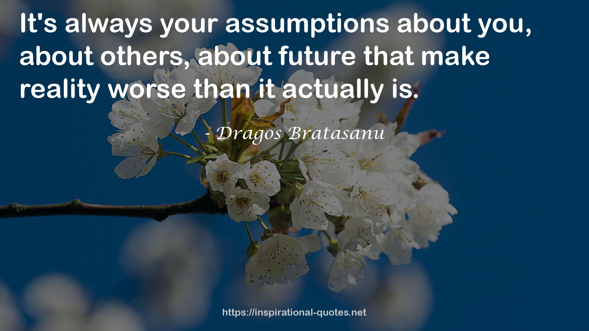 your assumptions  QUOTES