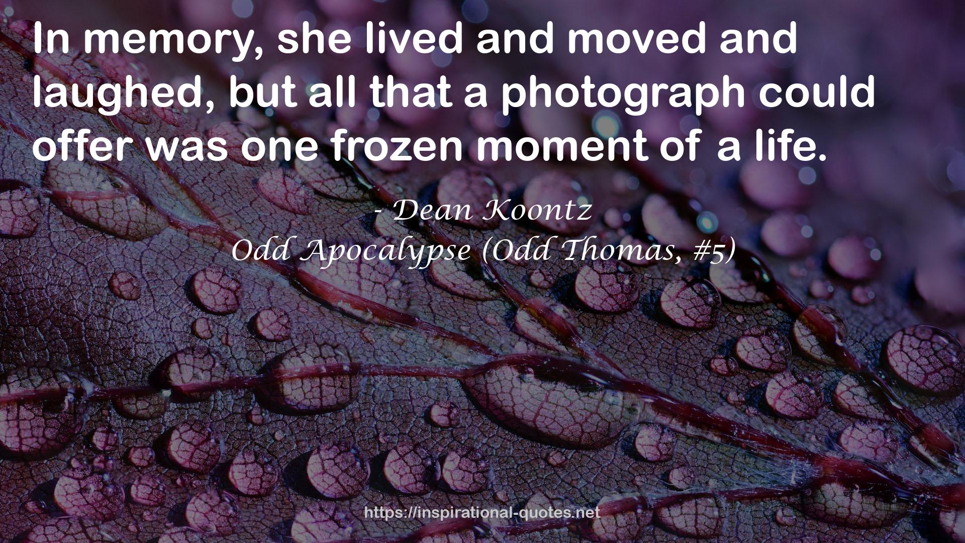 a photograph  QUOTES