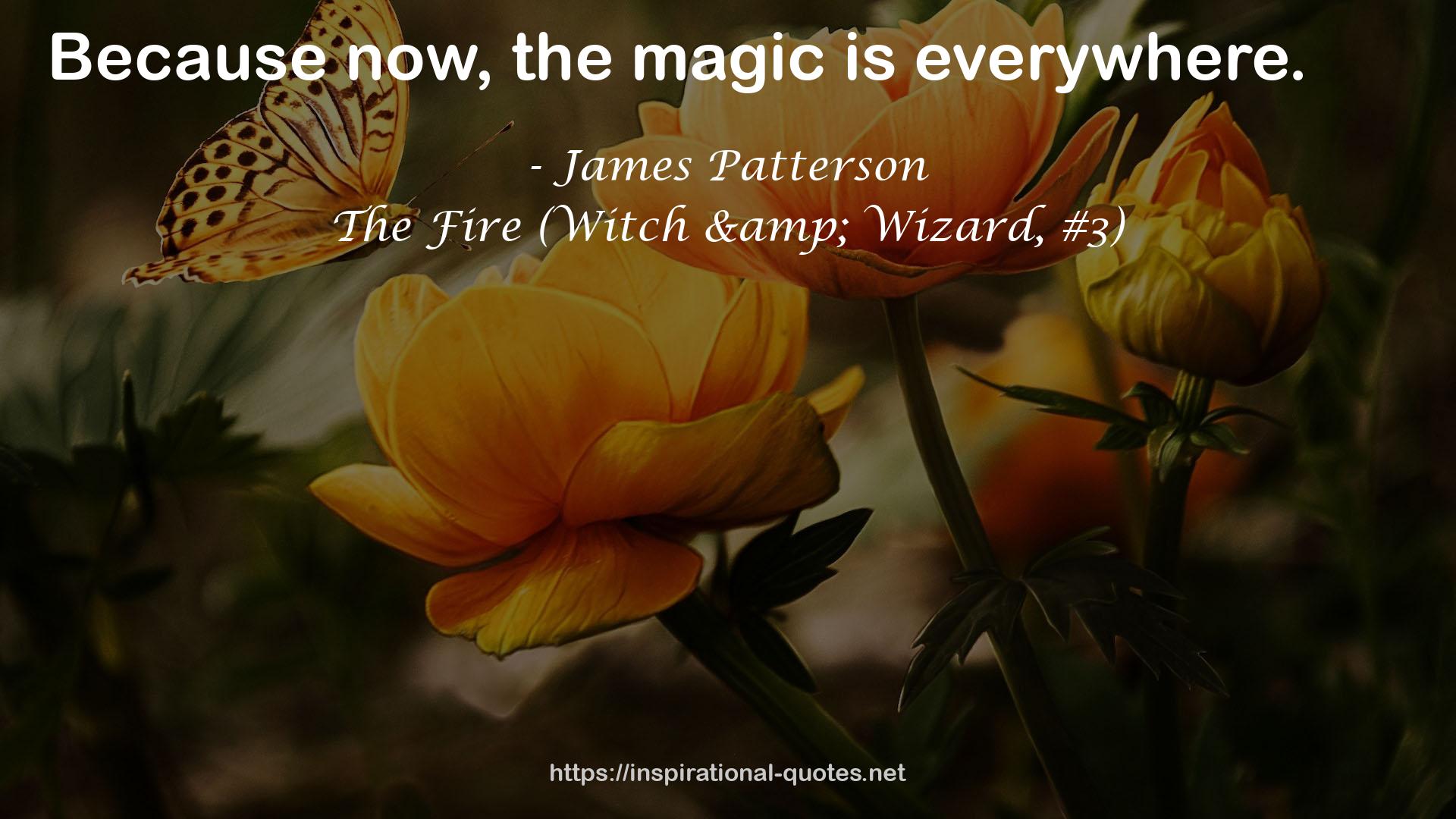 The Fire (Witch & Wizard, #3) QUOTES