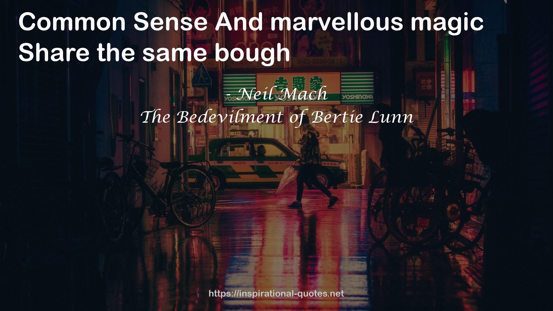 The Bedevilment of Bertie Lunn QUOTES