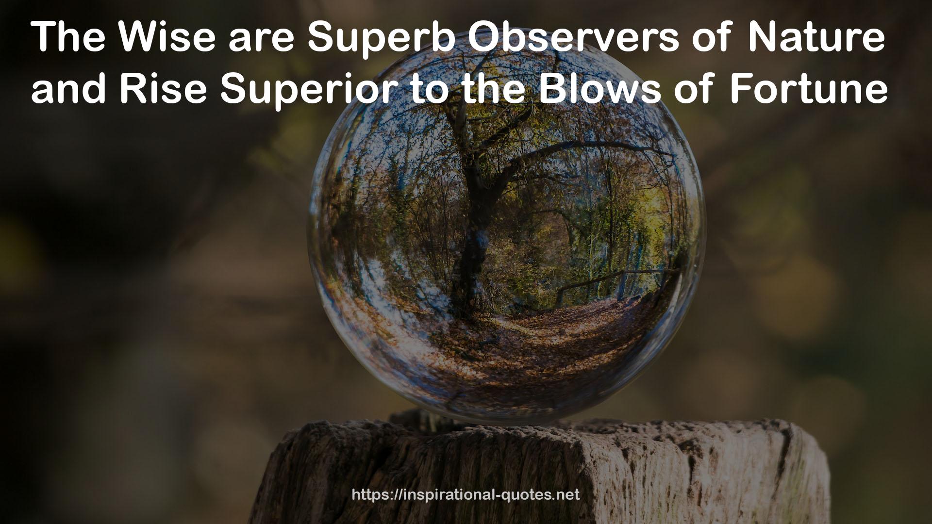 Observers  QUOTES