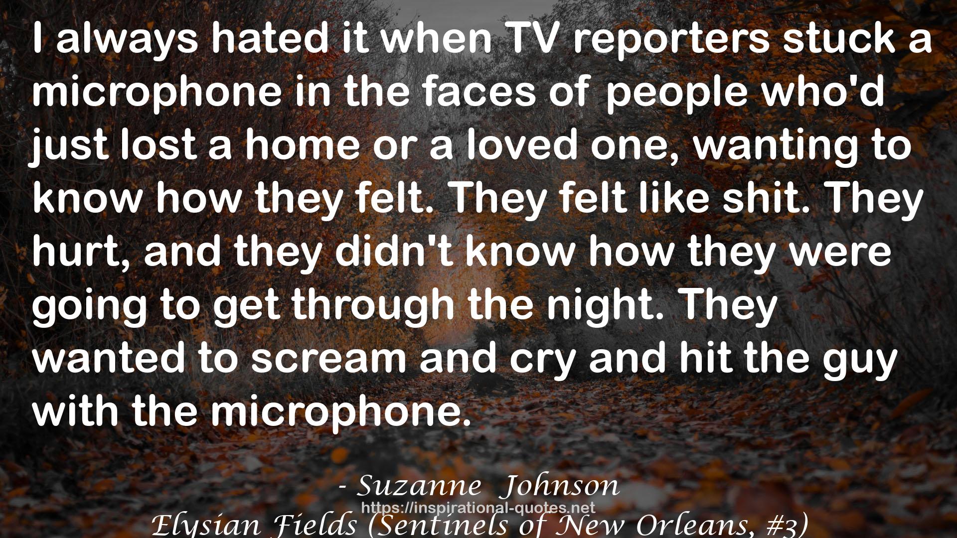 TV reporters  QUOTES