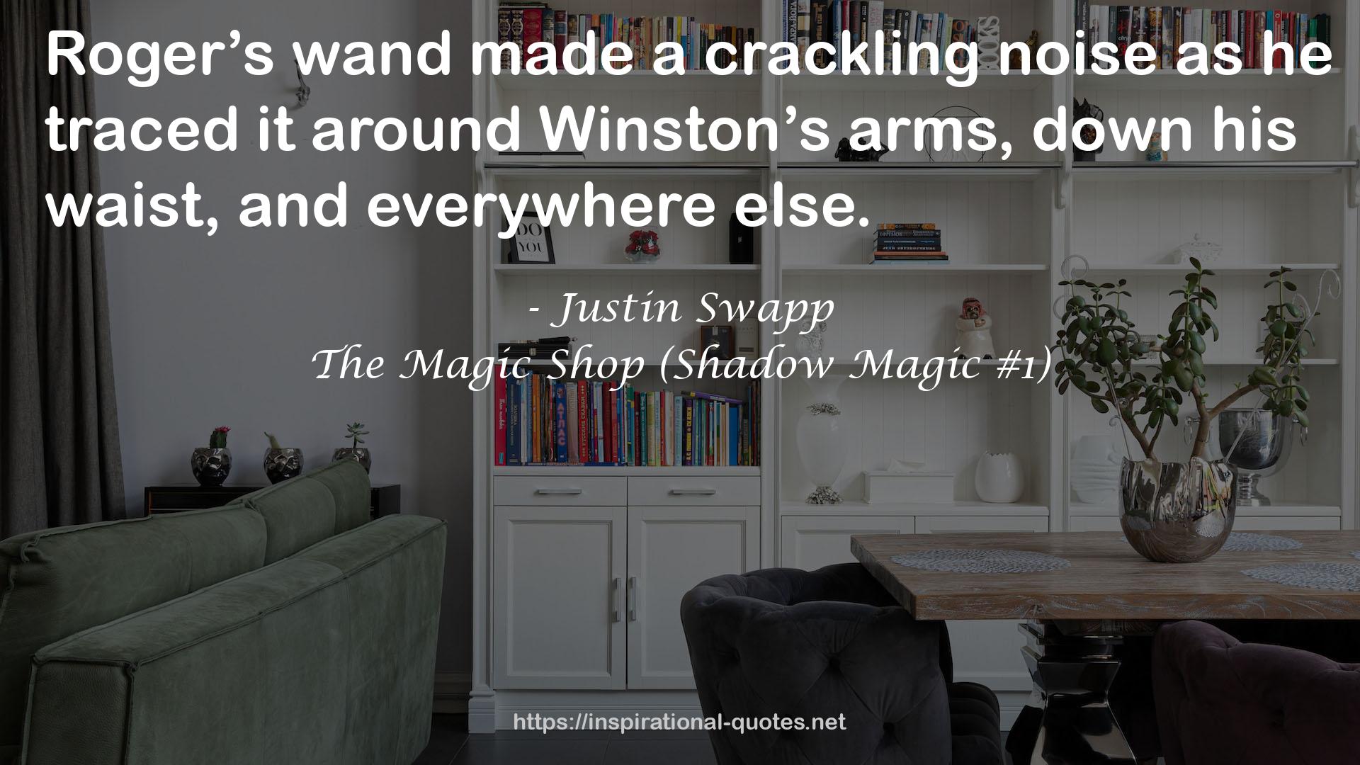 The Magic Shop (Shadow Magic #1) QUOTES