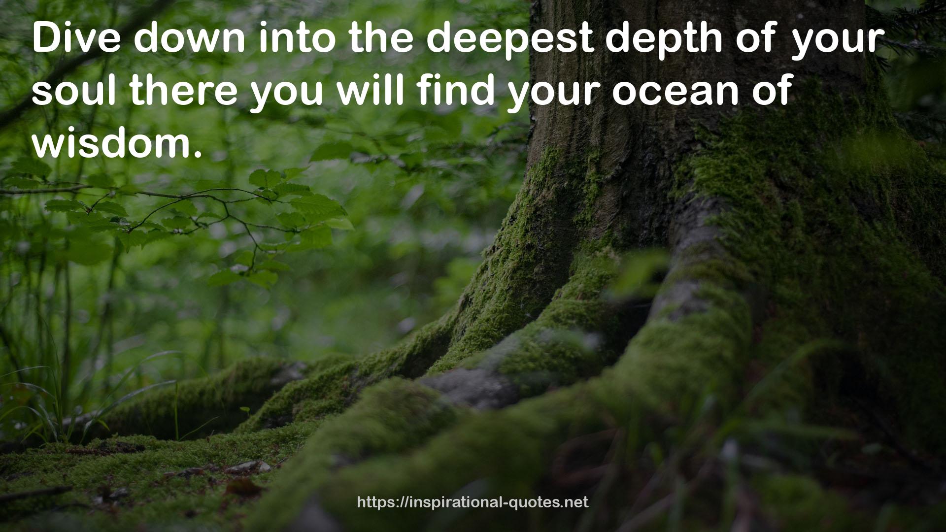 the deepest depth  QUOTES