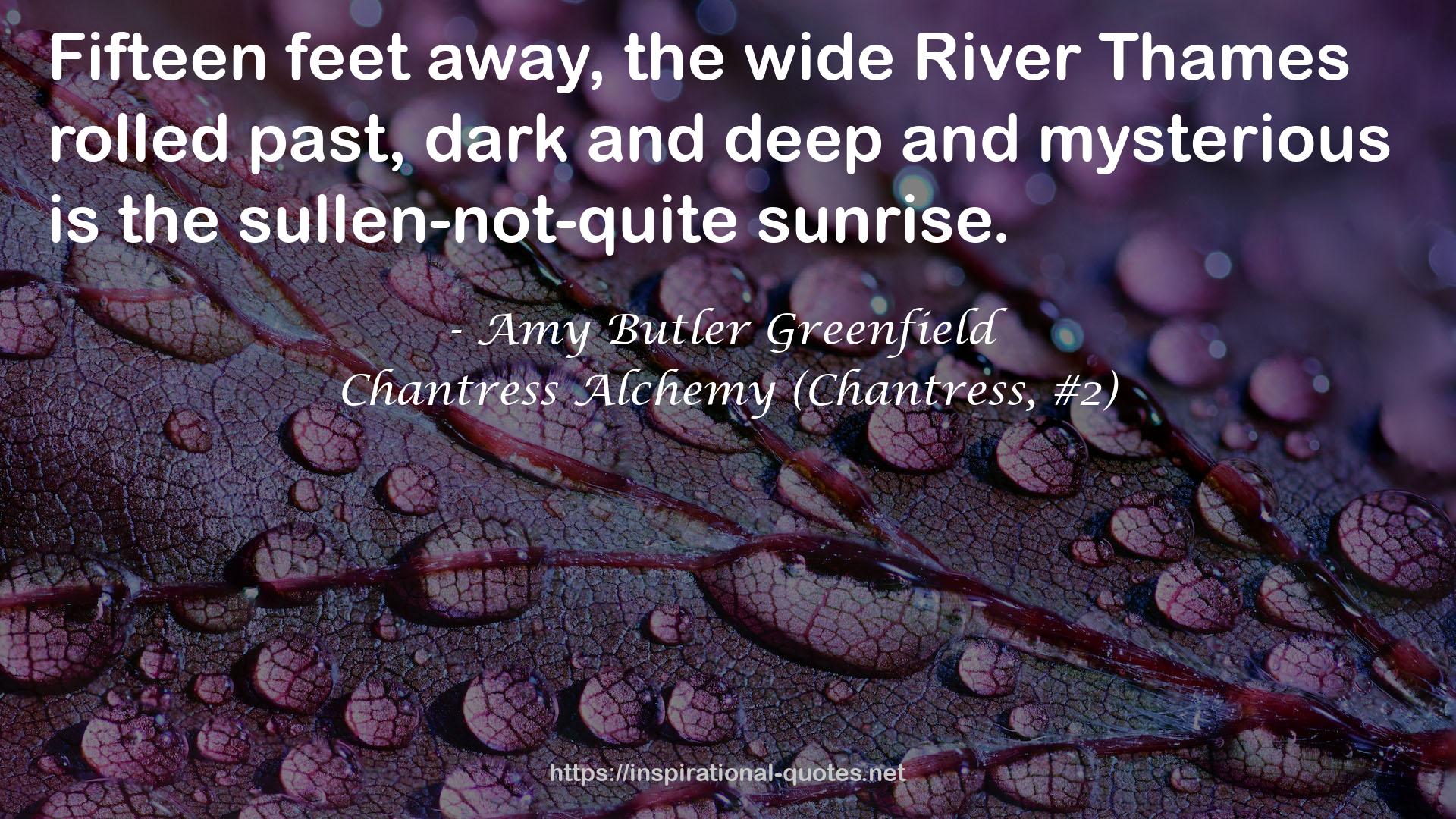 Chantress Alchemy (Chantress, #2) QUOTES