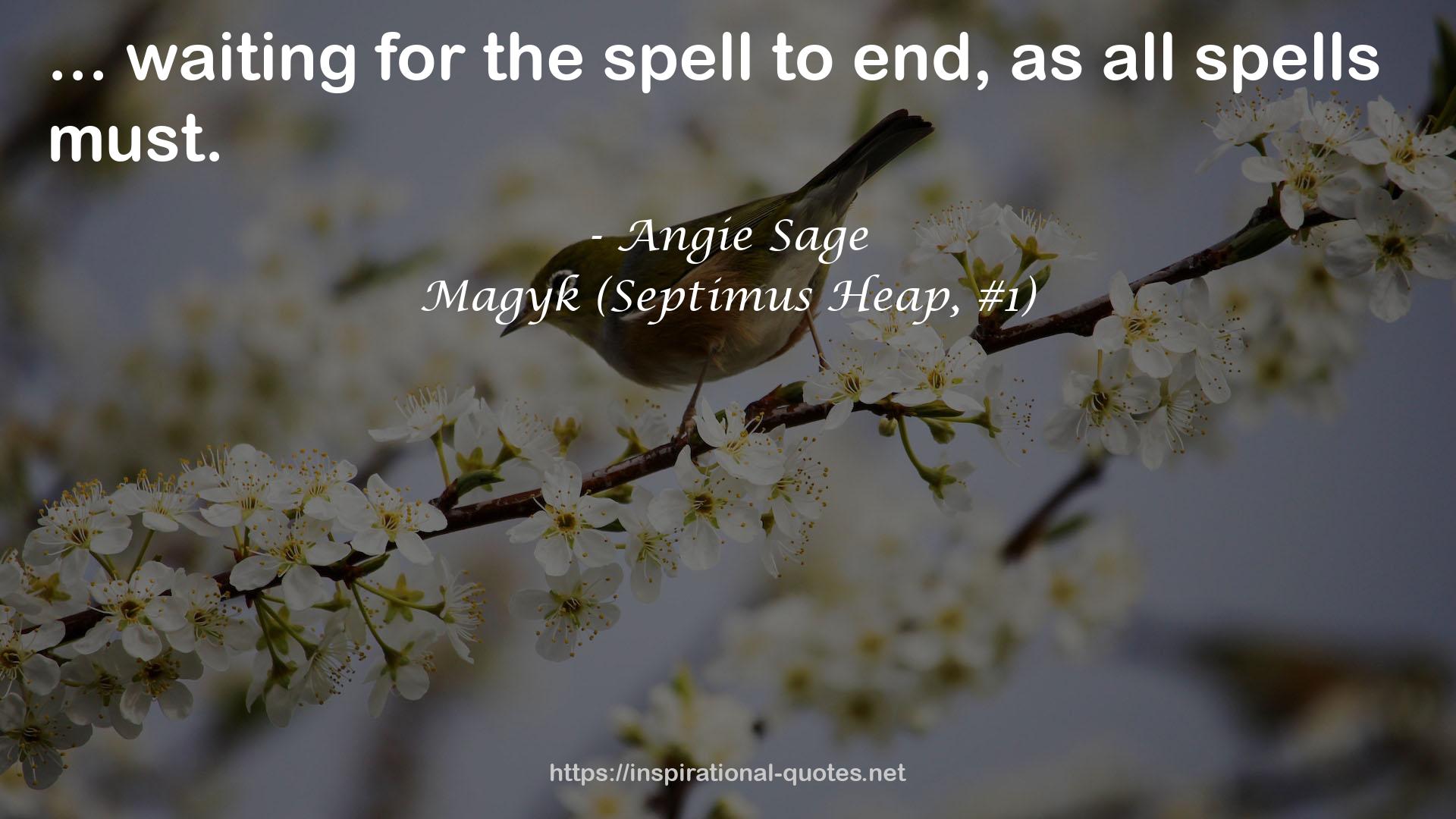 Magyk (Septimus Heap, #1) QUOTES