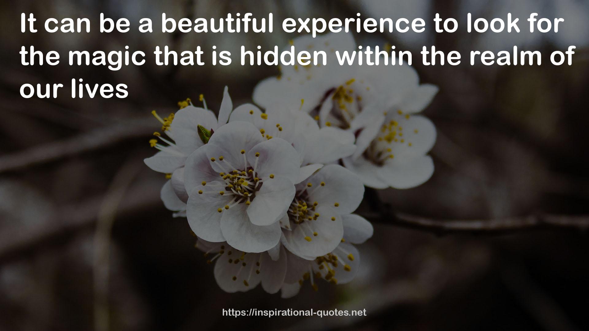 a beautiful experience  QUOTES