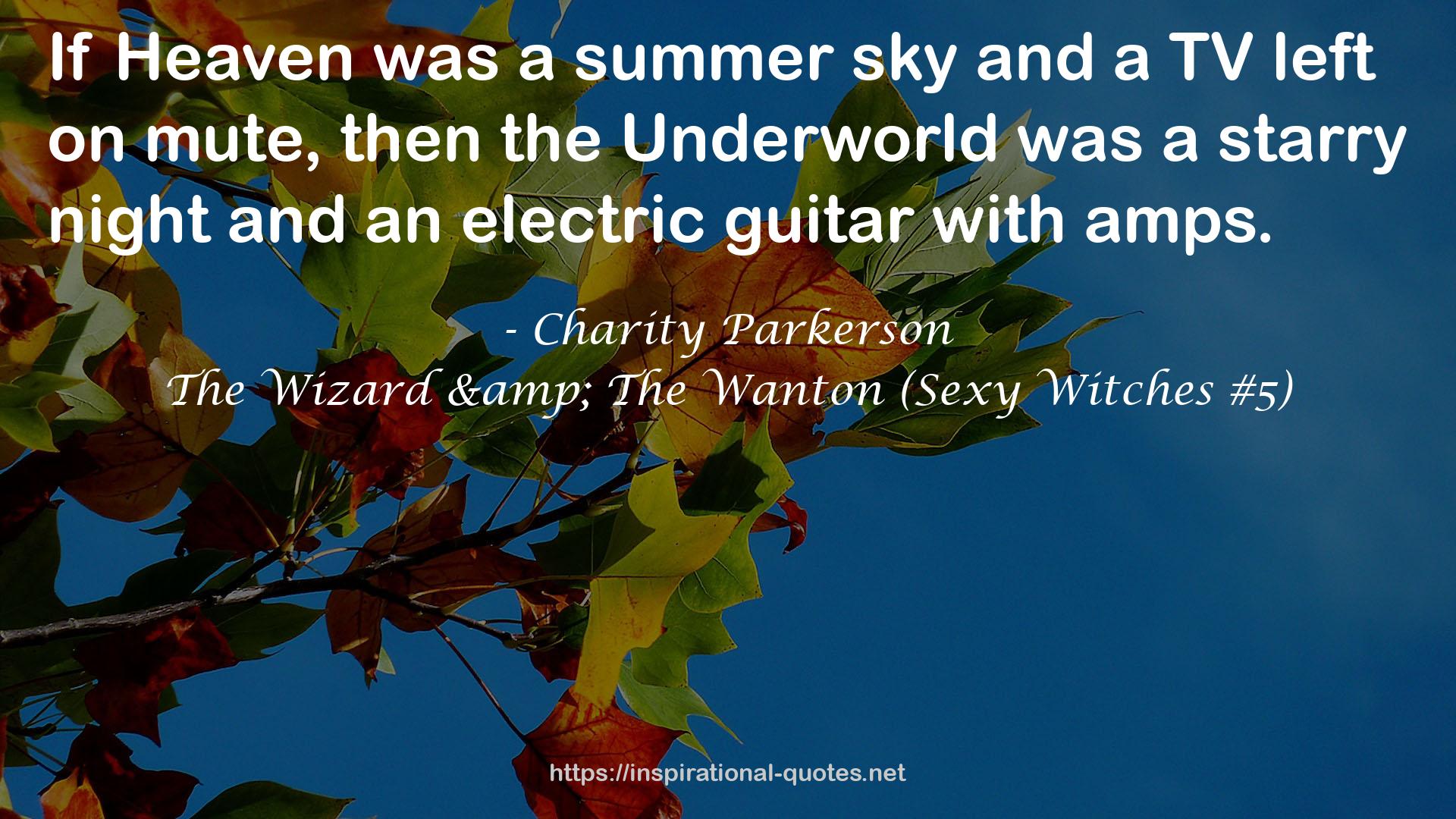 The Wizard & The Wanton (Sexy Witches #5) QUOTES