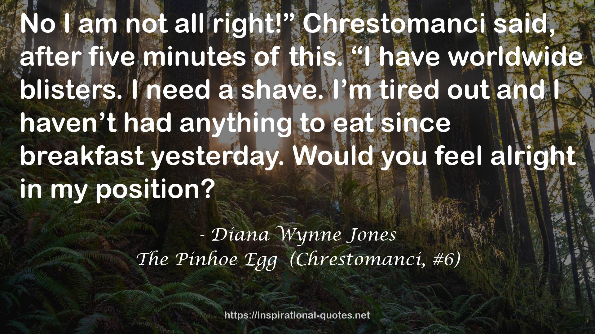 The Pinhoe Egg  (Chrestomanci, #6) QUOTES