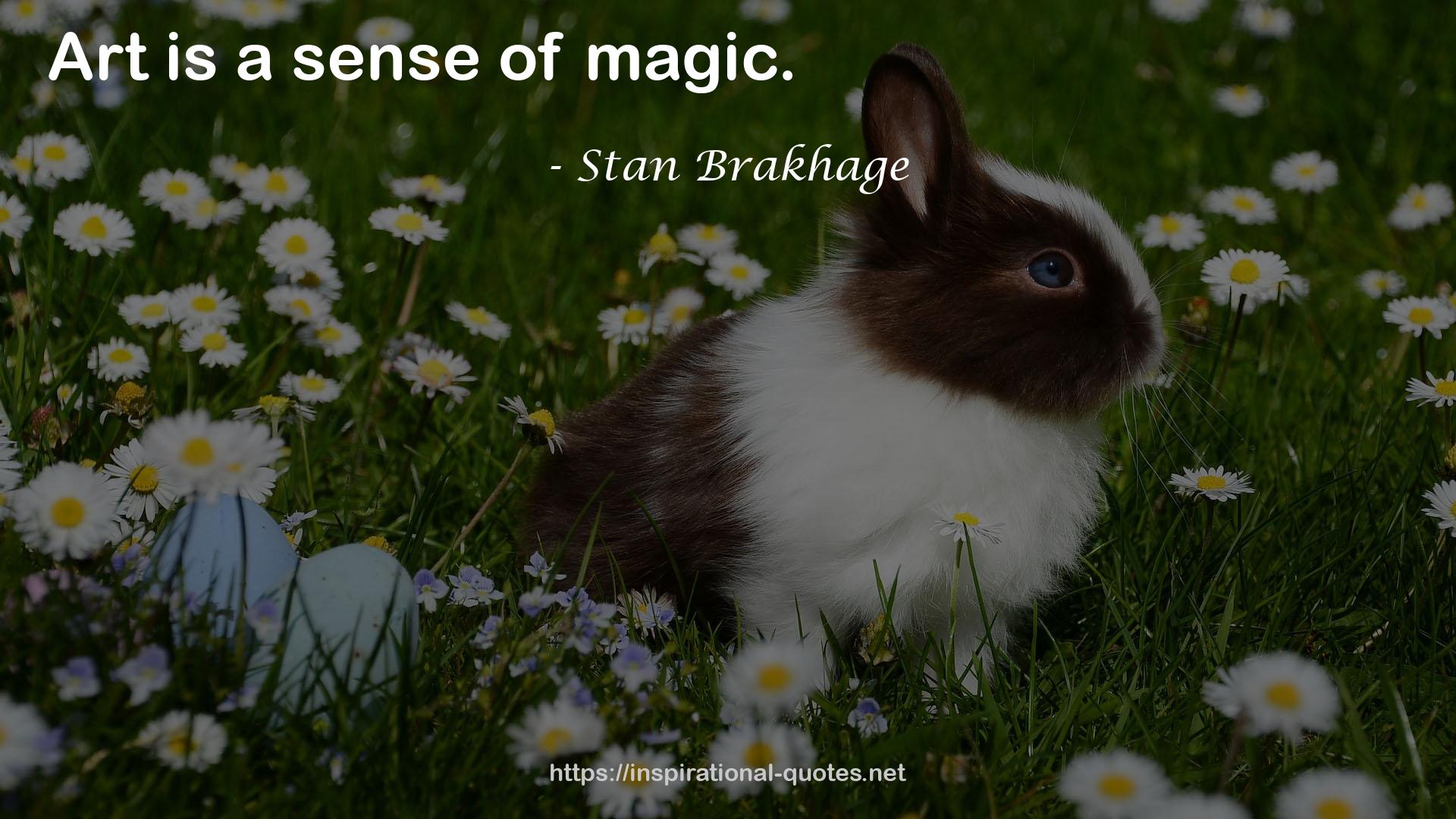 Stan Brakhage QUOTES