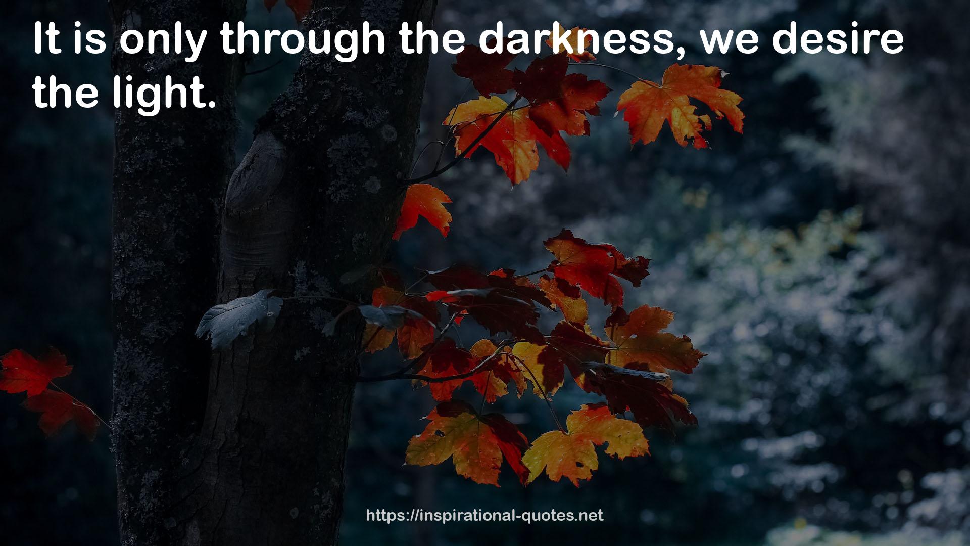 the darkness  QUOTES