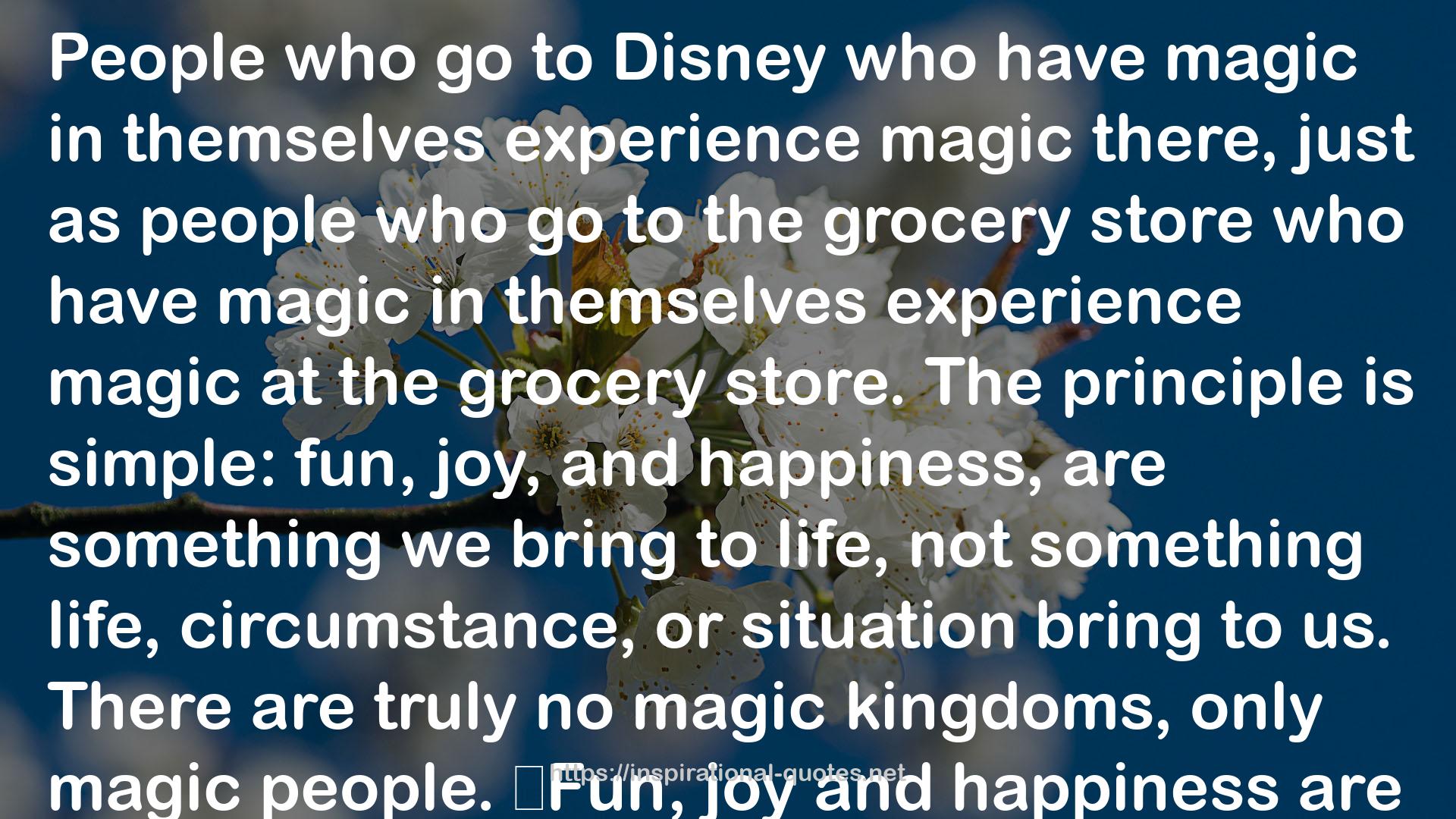 experience magic  QUOTES