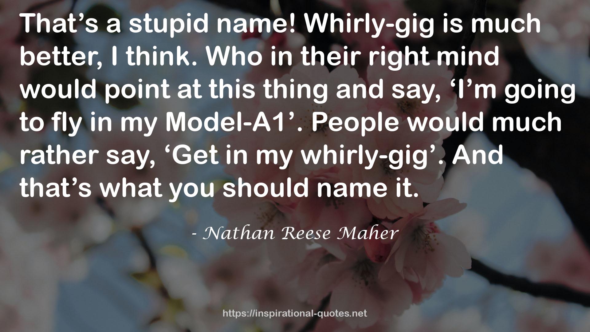 Whirly-gig  QUOTES