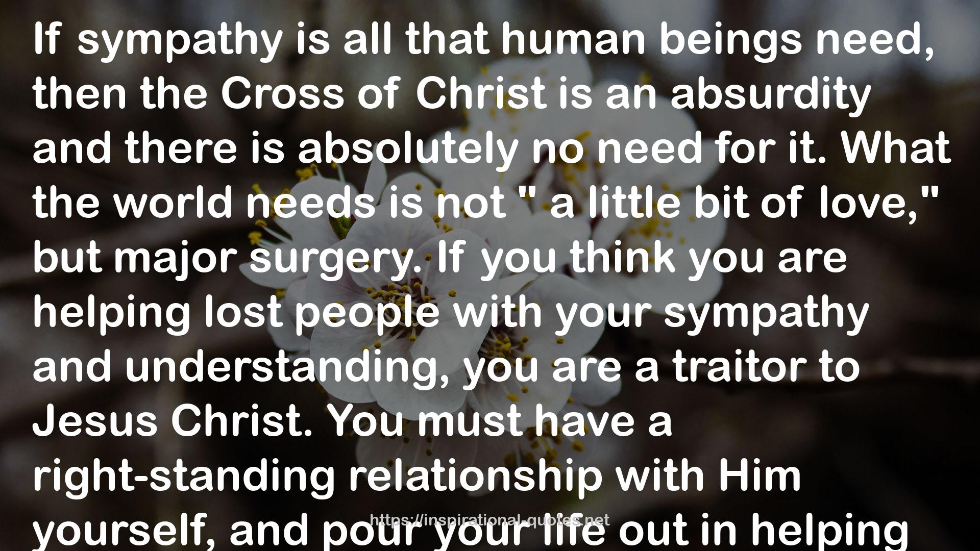 the Cross of Christ  QUOTES