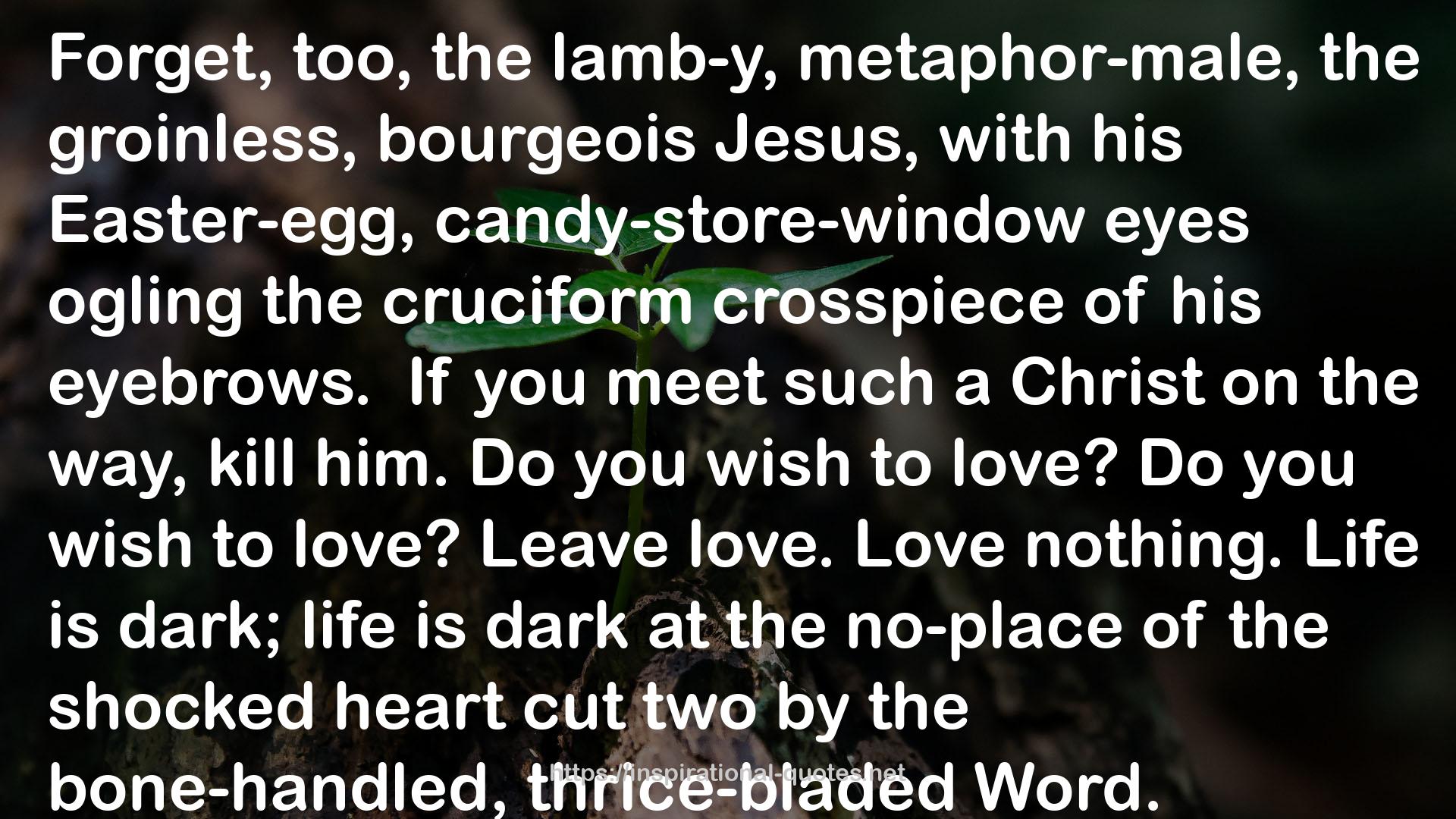 the cruciform crosspiece  QUOTES