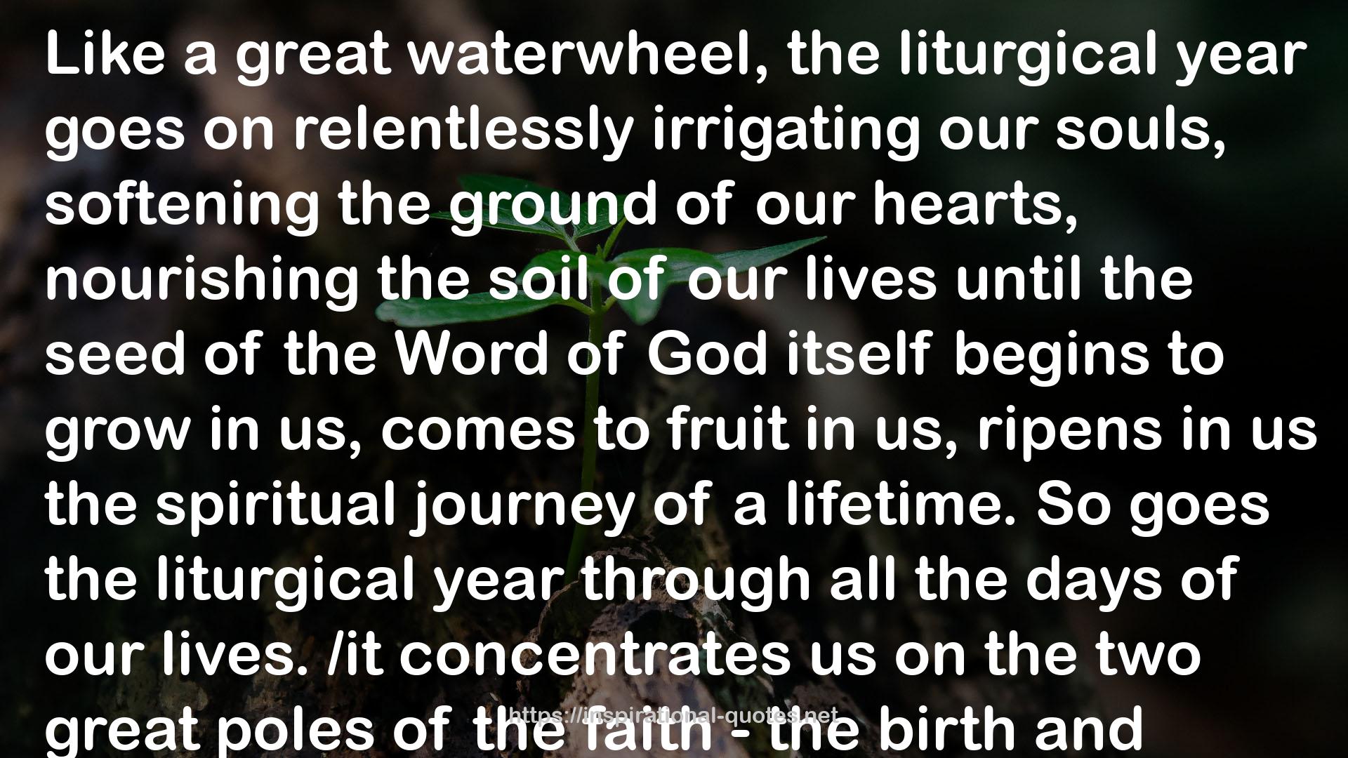 The Liturgical Year: The Spiraling Adventure of the Spiritual Life - The Ancient Practices Series QUOTES