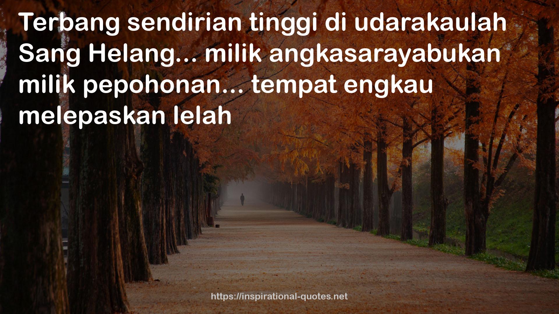 tinggi  QUOTES