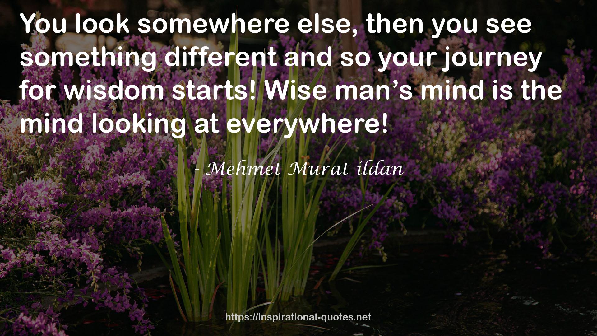 Mehmet Murat ildan QUOTES