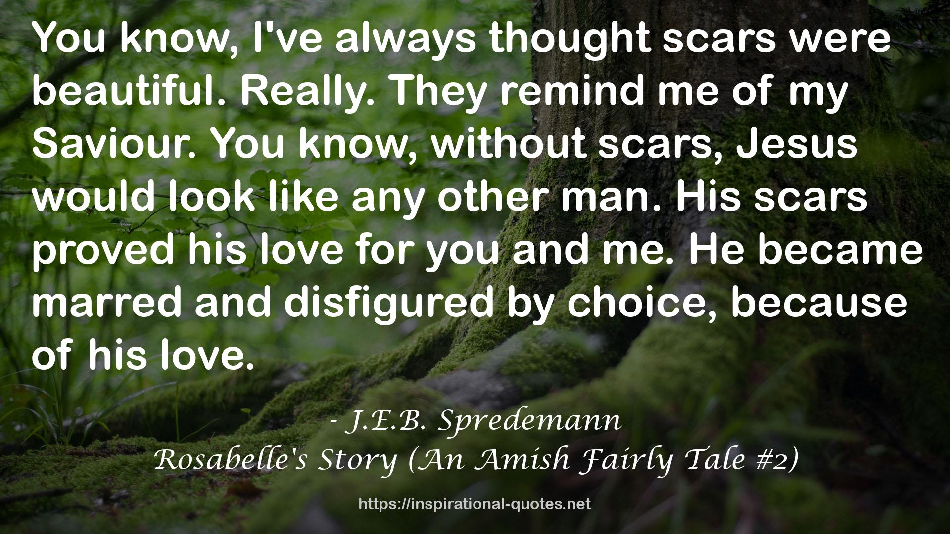 Rosabelle's Story (An Amish Fairly Tale #2) QUOTES