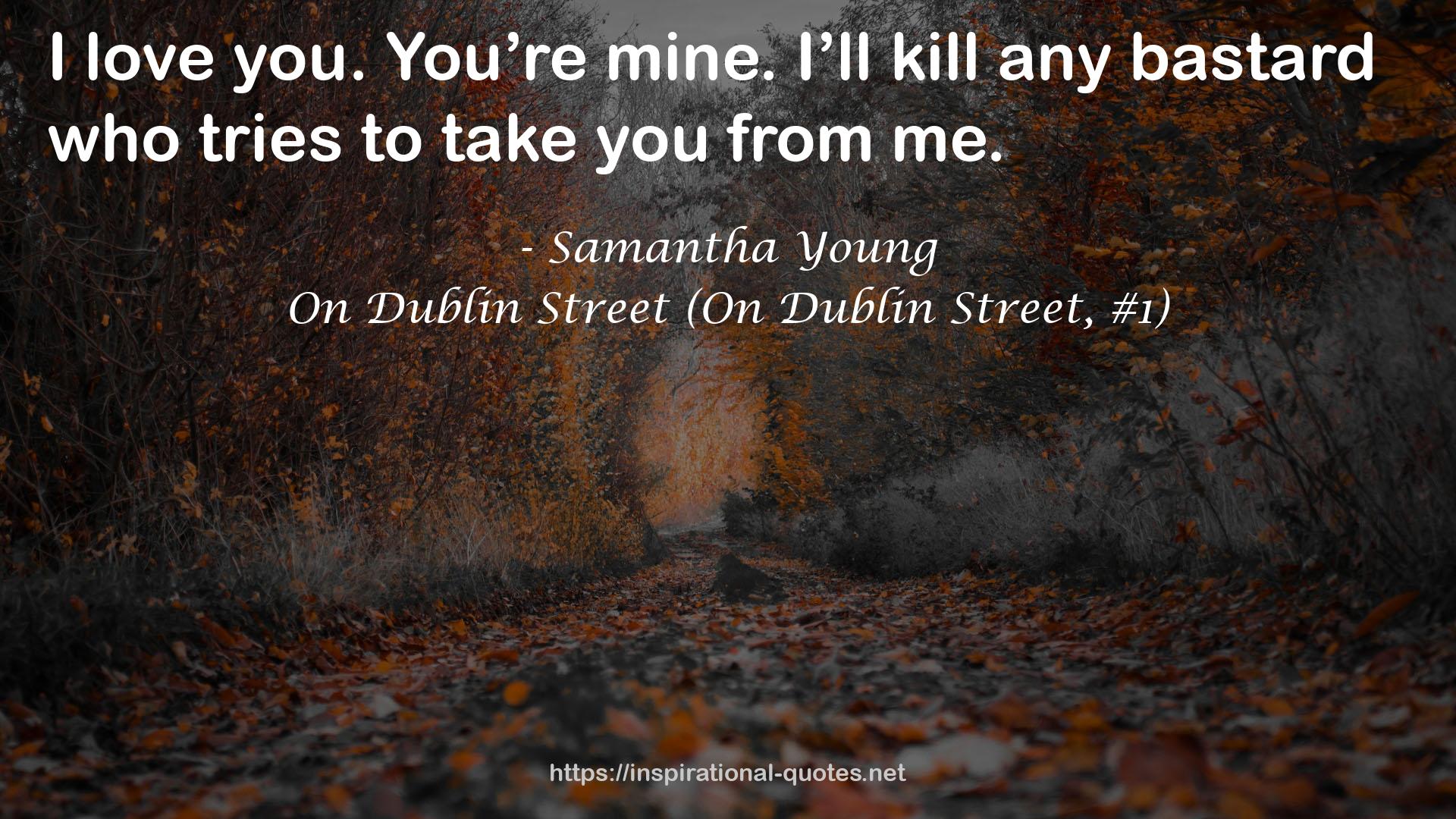 On Dublin Street (On Dublin Street, #1) QUOTES