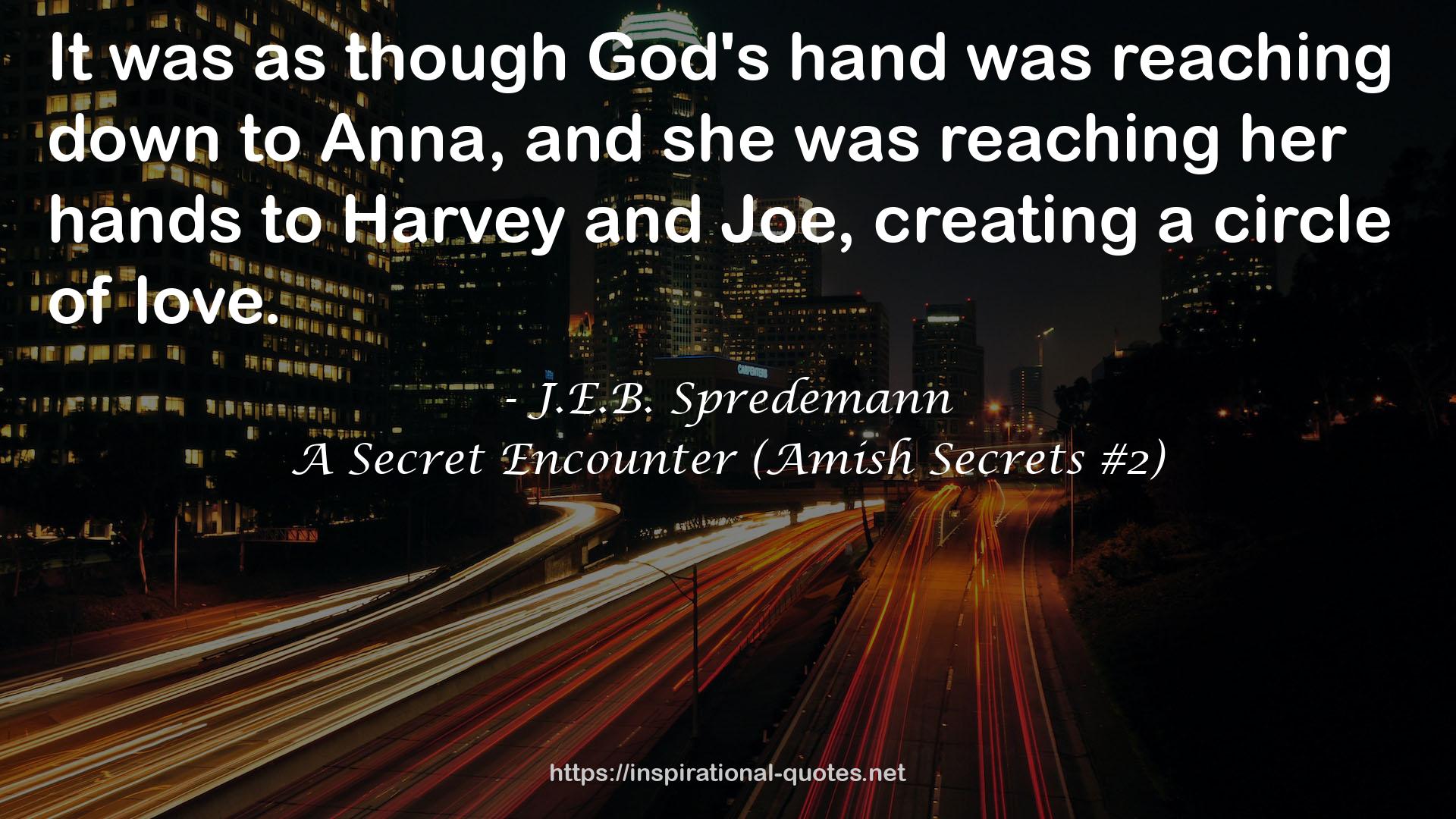 A Secret Encounter (Amish Secrets #2) QUOTES