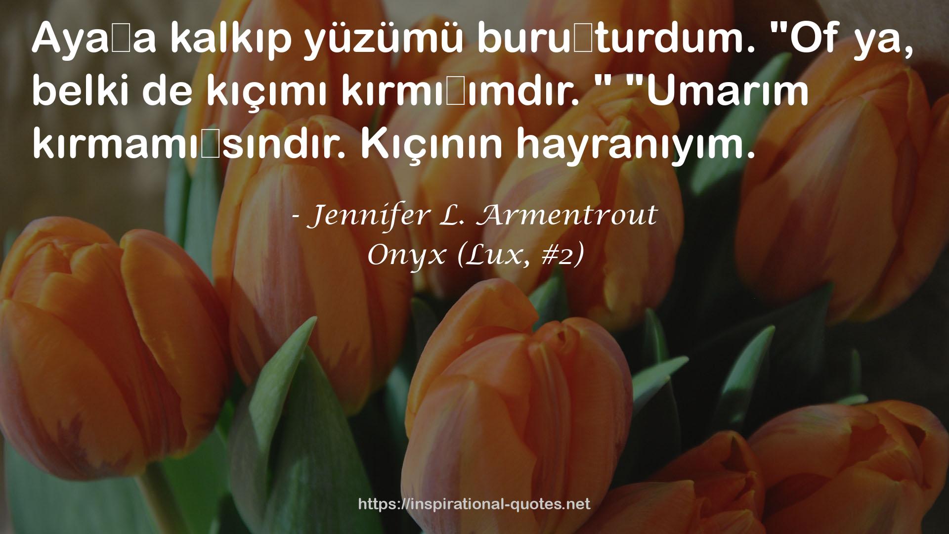 Onyx (Lux, #2) QUOTES