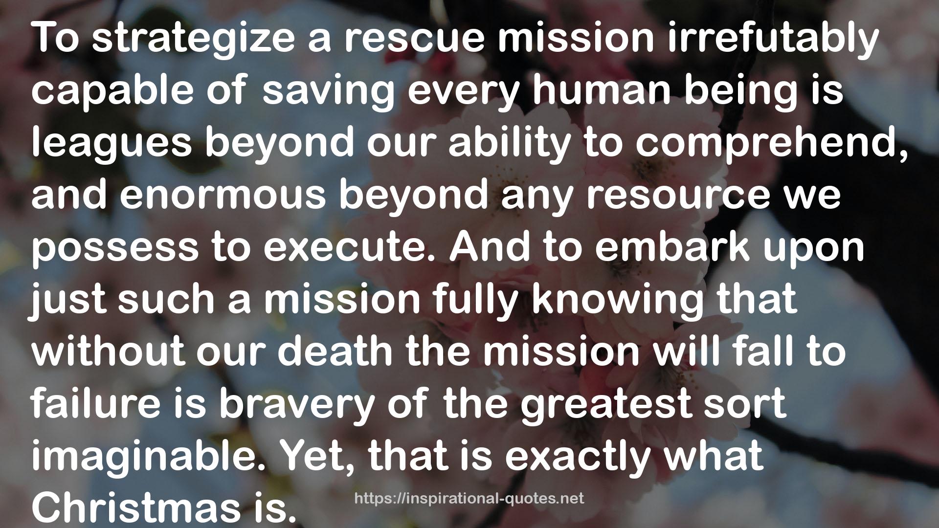 a rescue mission  QUOTES