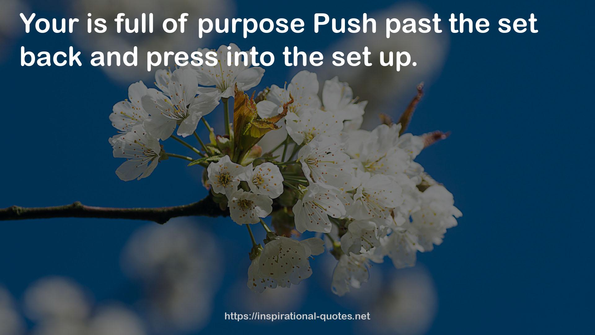 purpose Push  QUOTES