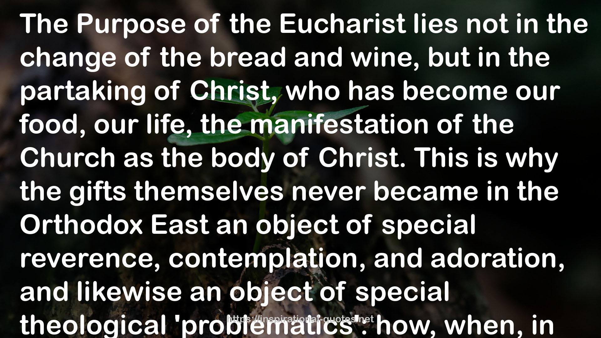 The Eucharist: Sacrament of the Kingdom QUOTES