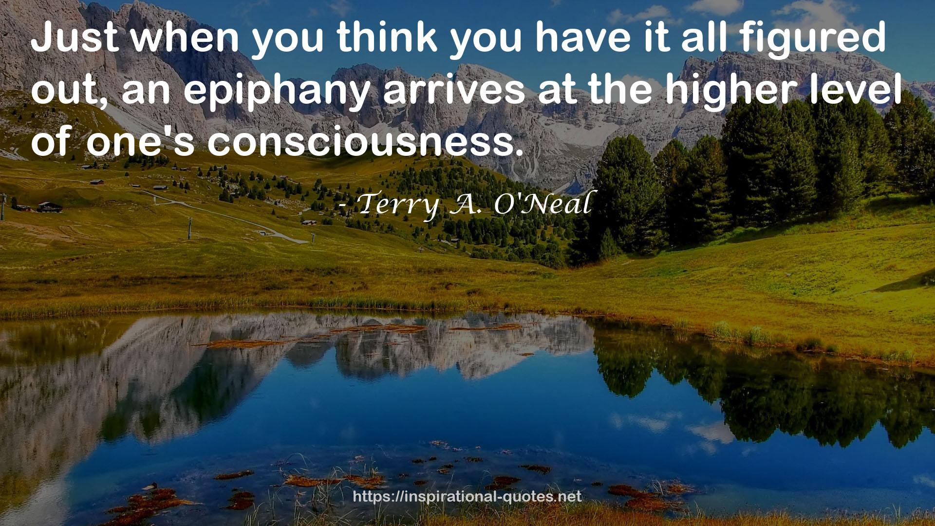 Terry A. O'Neal QUOTES