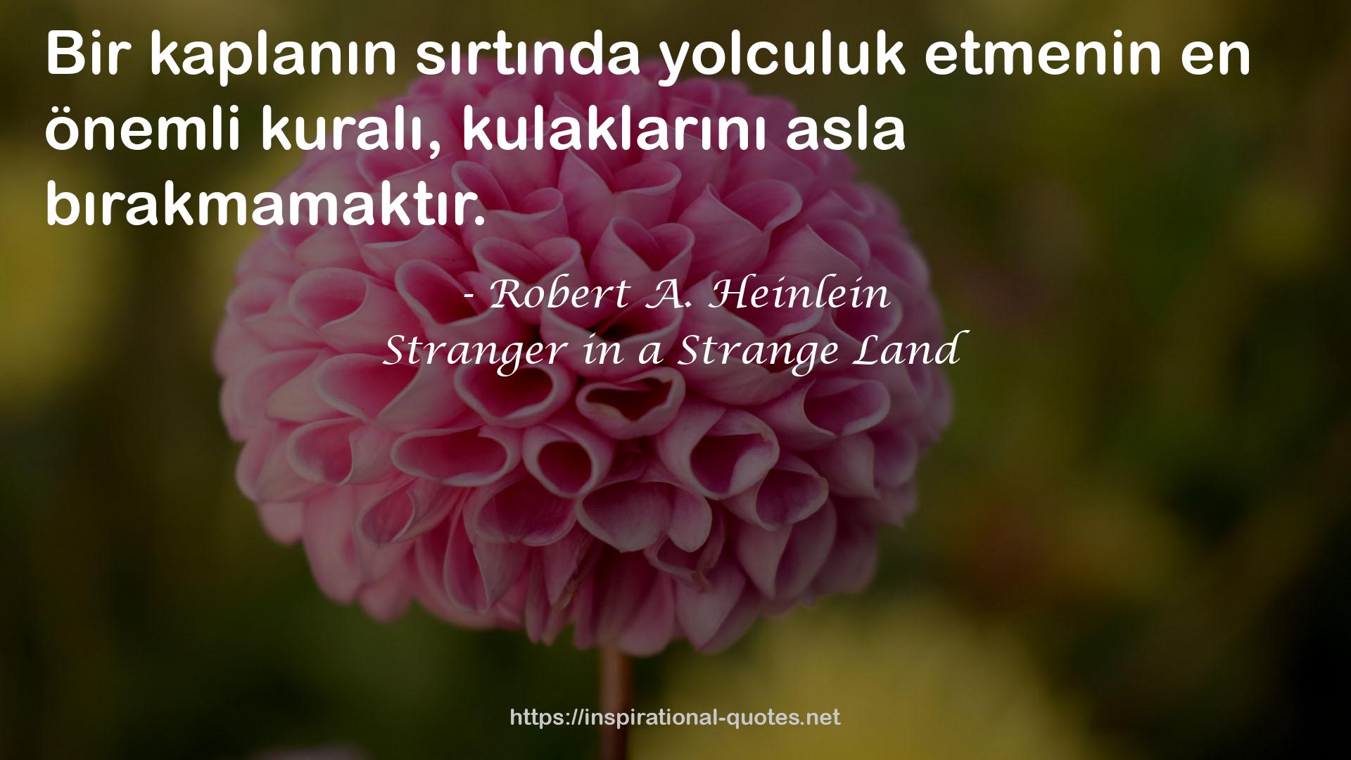 kulaklarını  QUOTES