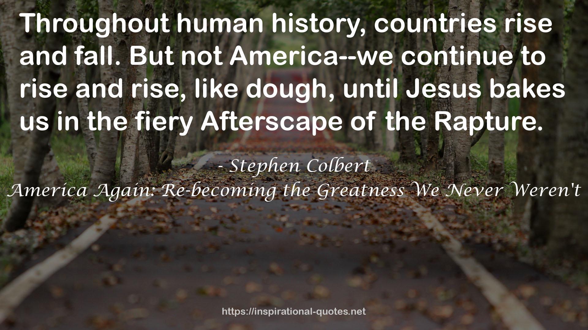 America Again: Re-becoming the Greatness We Never Weren't QUOTES