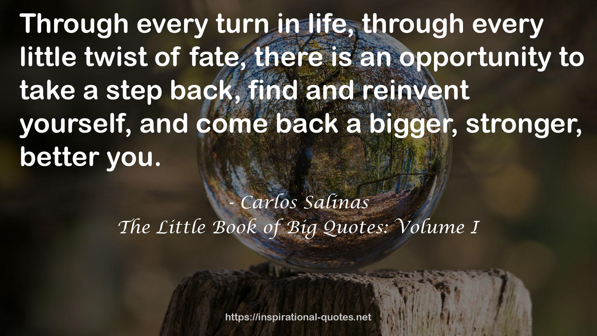 Carlos Salinas QUOTES