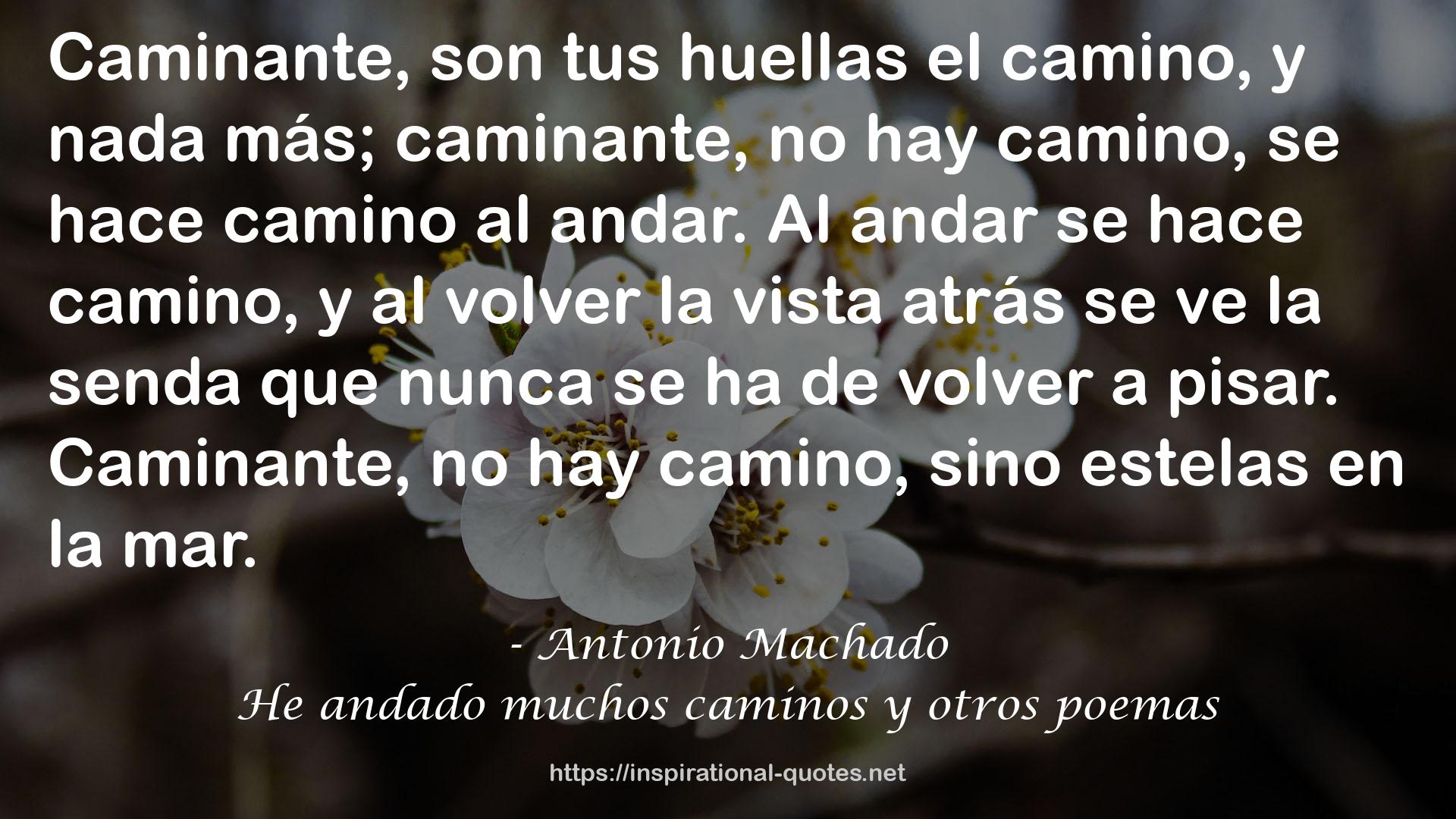 He andado muchos caminos y otros poemas QUOTES