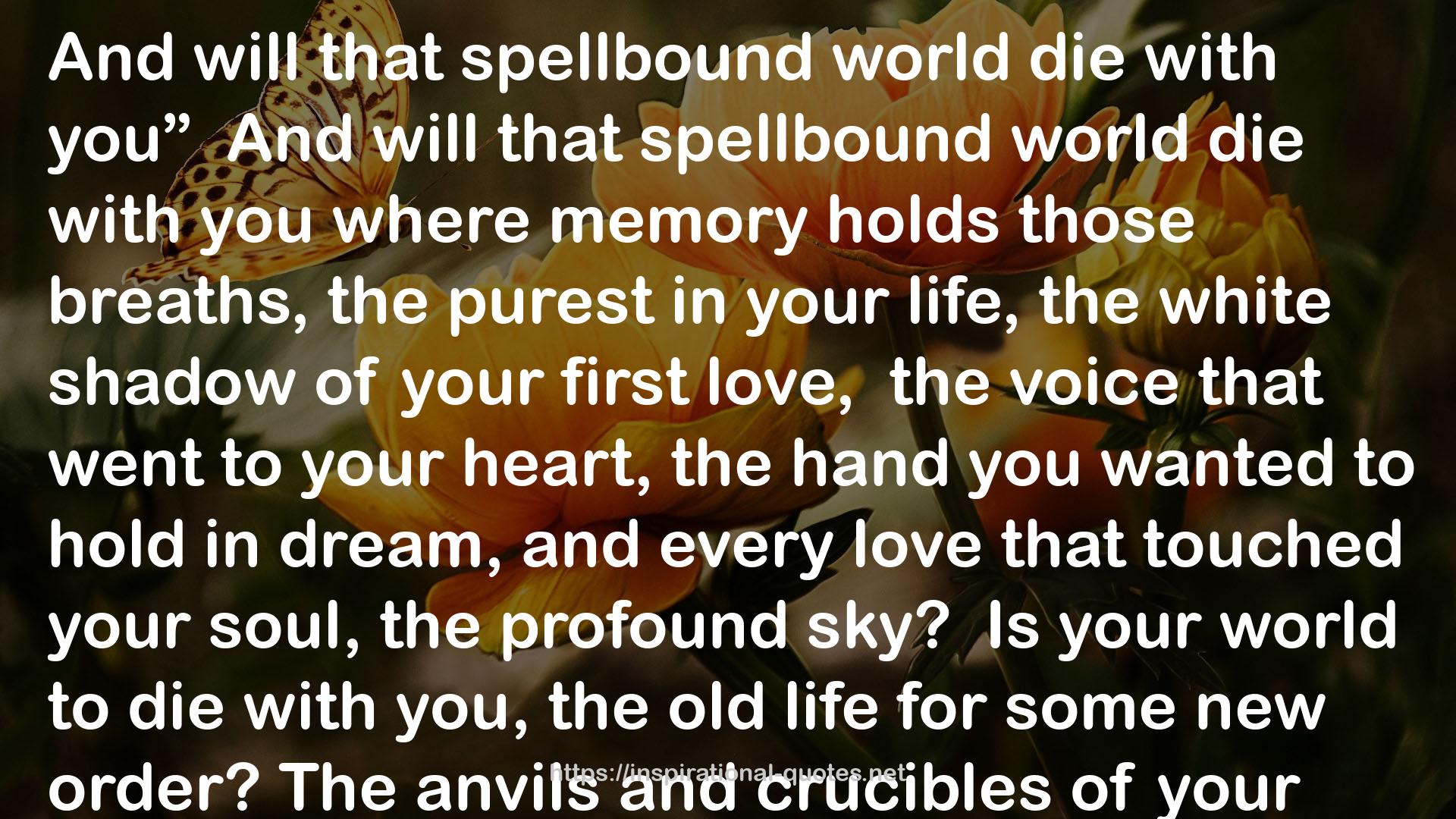 The Dream Below The Sun: Selected Poems Of Antonio Machado QUOTES